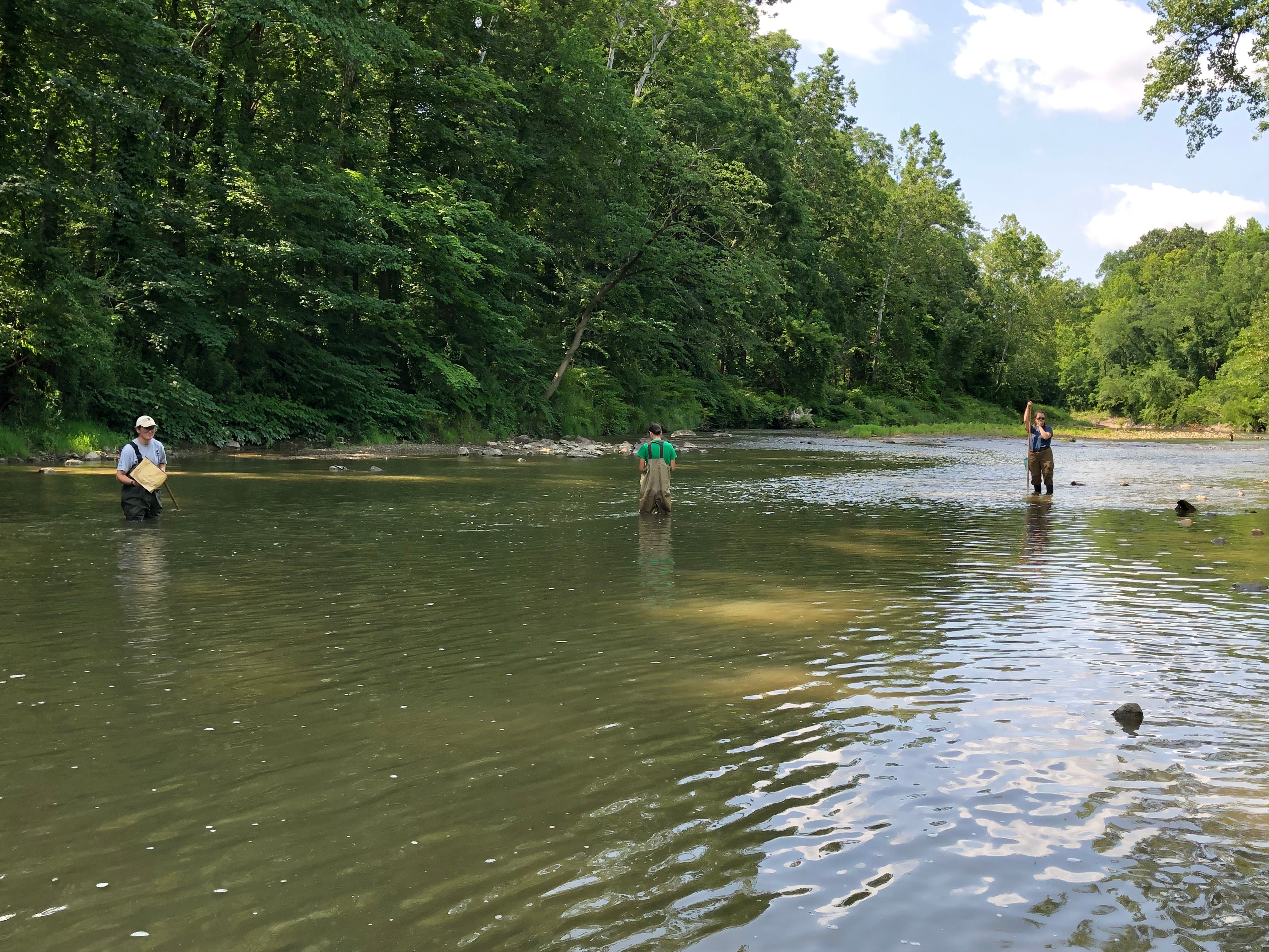 2023-Scenic-Rivers-NC_Wading.jpeg 2023-Scenic-Rivers-NC_Wading.jpeg