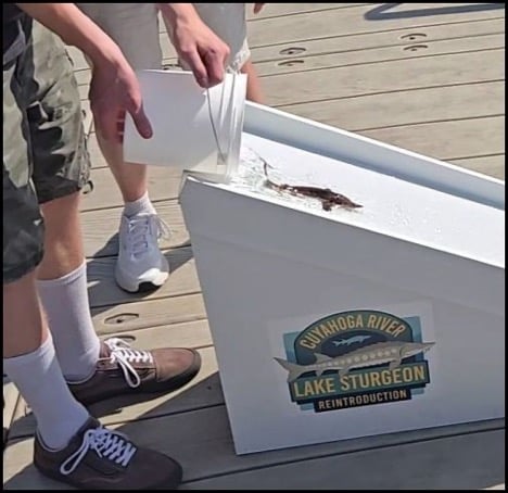10-9-25-sturgeon-fest-6.jpg