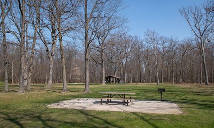 Thumbnail image for Wolf Picnic Area Trailhead