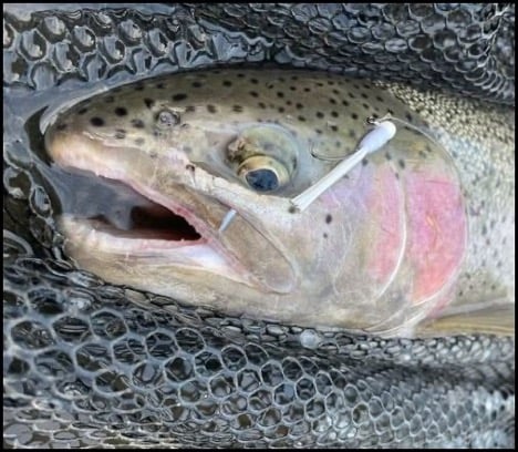 4-2-26-mike-2.jpg 4-2-26-mike-2.jpg