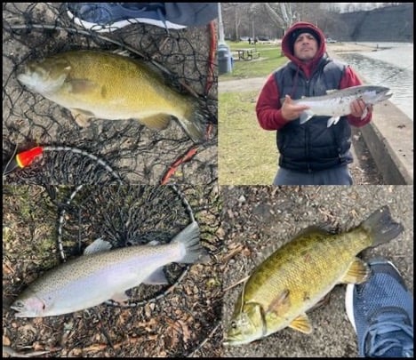 3-26-26-Ted-1.jpg 3-26-26-Ted-1.jpg