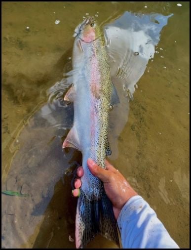 10-16-25_carlos-1.jpg 10-16-25_carlos-1.jpg