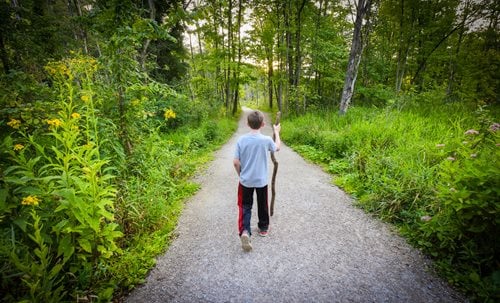 A boy walks thoughtfully down a wooded path, enveloped by trees and nature's beauty.