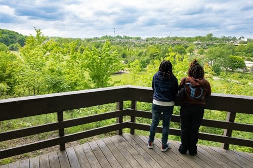 two women standing on a deck looking out over a wooded area, a stock photo inspired by Henry Carr, featured on shutterstock, harlem renaissance, overlooking a valley with trees, parks and public space, natural botanical gardens