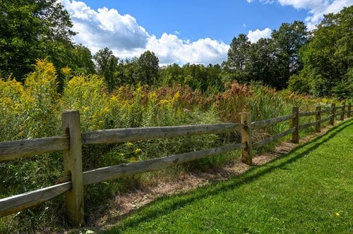 A wooden fence stands prominently in the center of a lush, green grassy field under a clear blue sky.