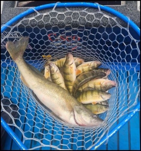 11-27-25-jeff.jpg 11-27-25-jeff.jpg