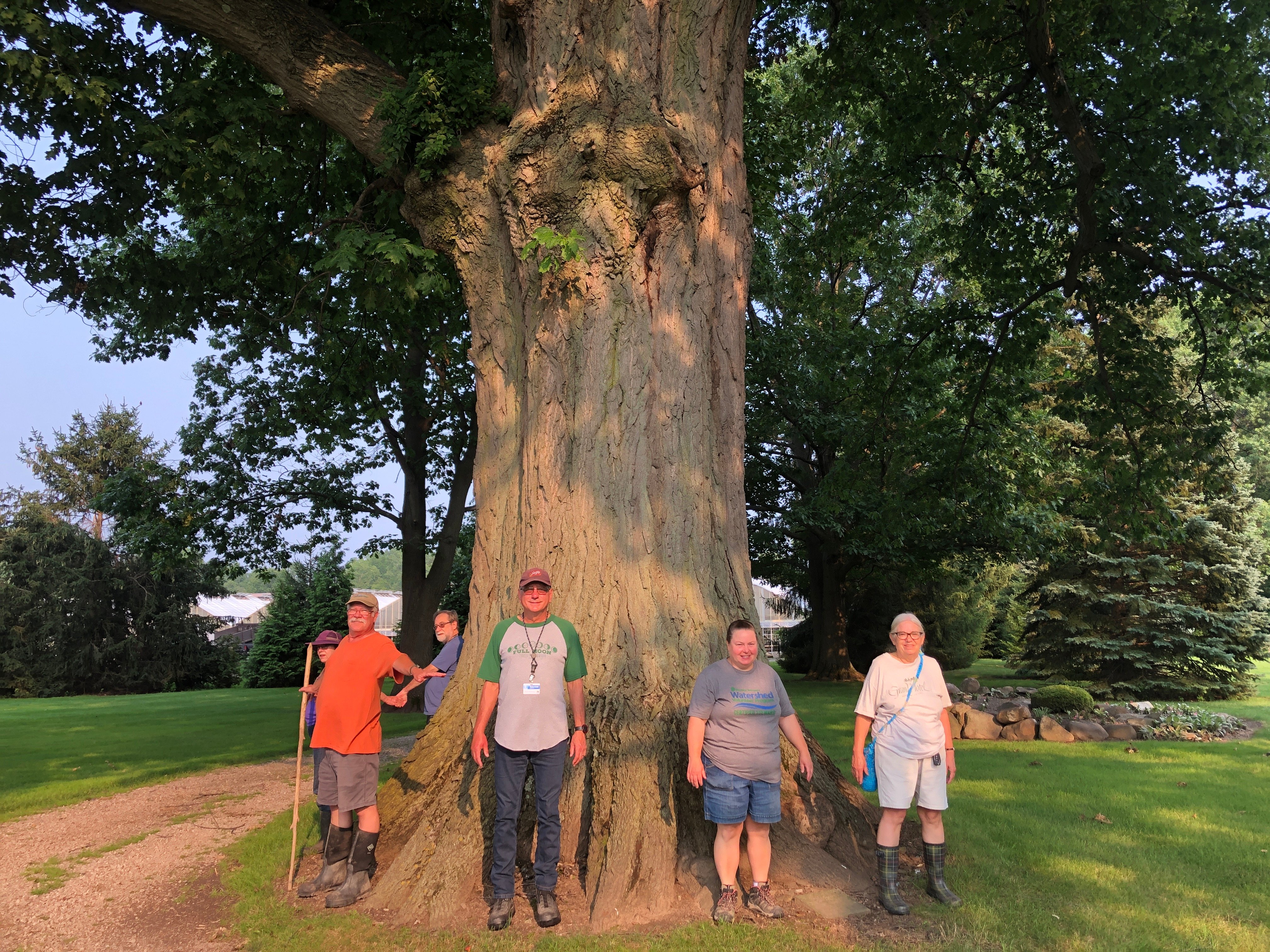 group_tree_2021_07_19-Monday-MeetUp_Dover-Ditch.JPG