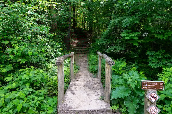 My-Mountain-Trail-01.jpg