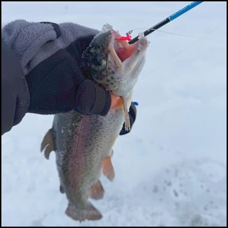 1-29-26-max-3.jpg 1-29-26-max-3.jpg