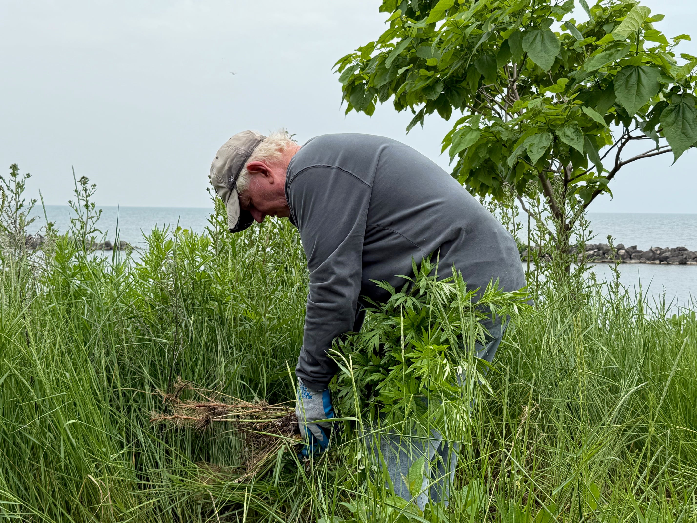 IMG_5355-1.jpg IMG_5355-1.jpg