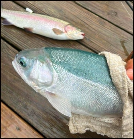 4-9-26-jimmy.jpg 4-9-26-jimmy.jpg