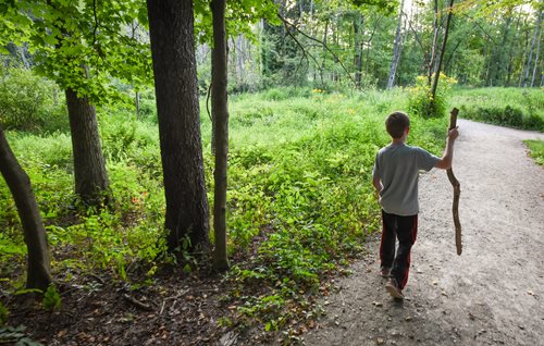 A man strolls down a forest path, using a stick for support, amidst lush greenery and tall trees.