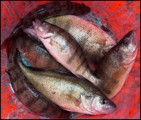 10-30-25_E55_2.jpg 10-30-25_E55_2.jpg