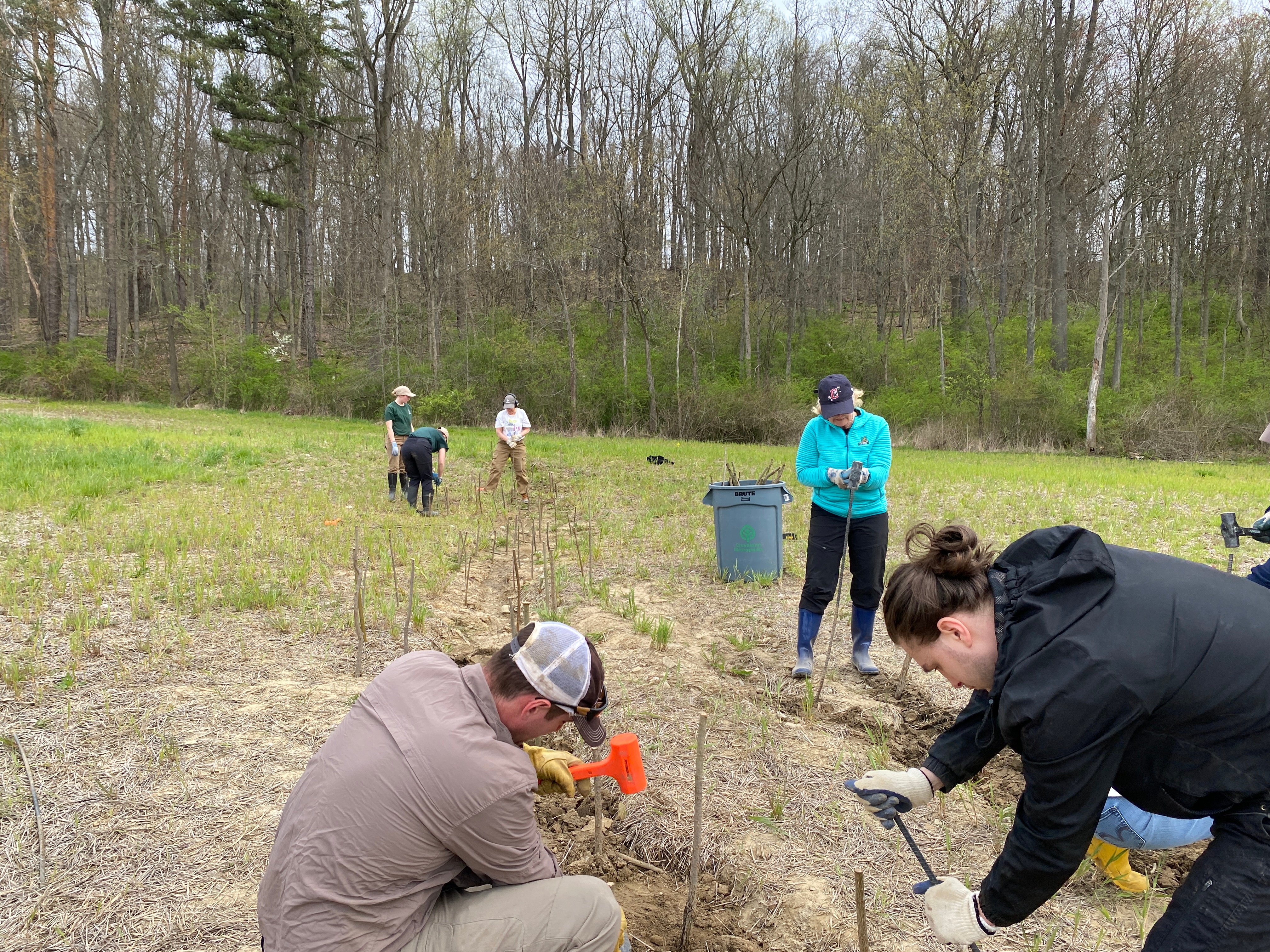 Watershed-Volunteers-and-Natural-Resources-Staff-installing-Live-Stakes-to-address-erosion.JPG