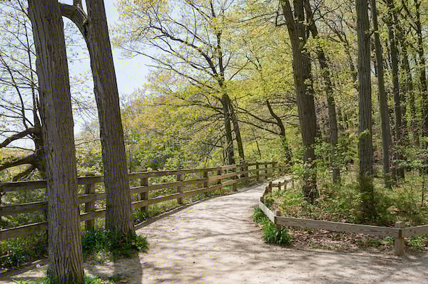 Shephard-Lane-Trail-Rocky-River-Reservation.jpg