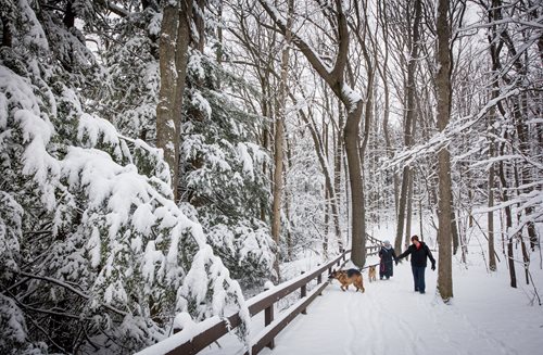 Individuals stroll on a snow-covered path, with a dog happily trotting alongside them in a picturesque winter scene.