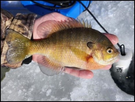 1-29-26-chuck-2.jpg 1-29-26-chuck-2.jpg