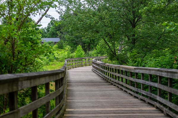 Beyer-s-Pond-Loop-Big-Creek-Reservation.jpg