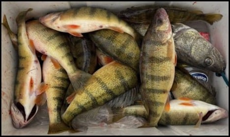 11-6-25-wes-3.jpg 11-6-25-wes-3.jpg