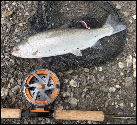 3-26-26-nate.jpg 3-26-26-nate.jpg