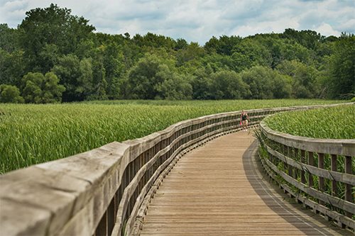 Lake-to-Lake-(1).jpg lake trail on the eastern edge