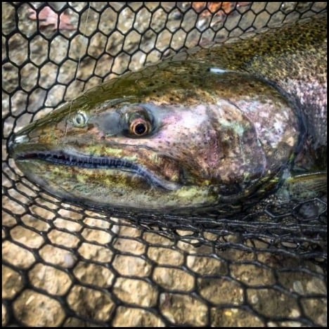 11-27-25-mike-2.jpg 11-27-25-mike-2.jpg