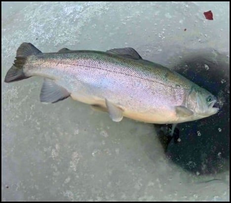 2-19-26-brian-1.jpg 2-19-26-brian-1.jpg