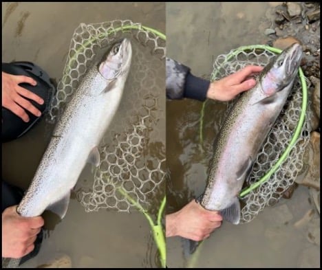 3-26-26-nick-2.jpg 3-26-26-nick-2.jpg