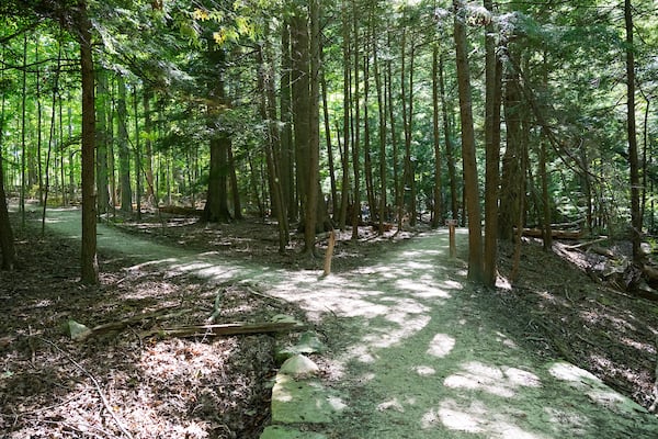 Gorge-Loop-Trail-Brecksville-Reservation.jpg