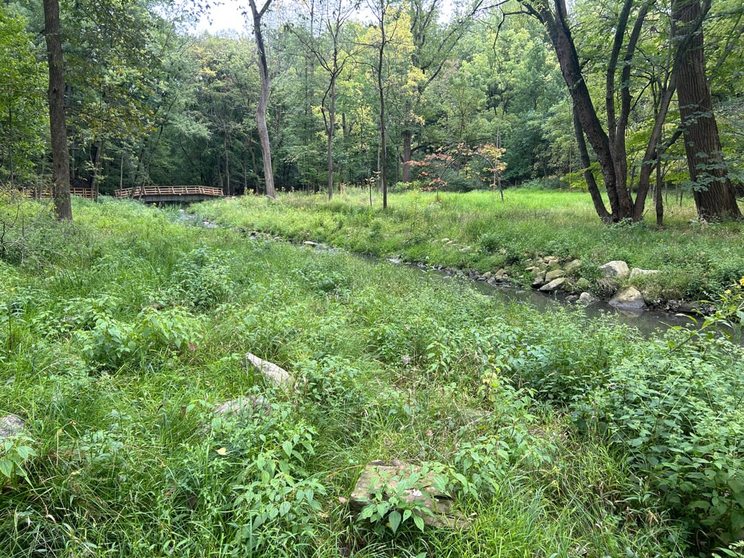 Wolf-Creek-Stream-Restoration-and-Floodplain-Connection.jpg