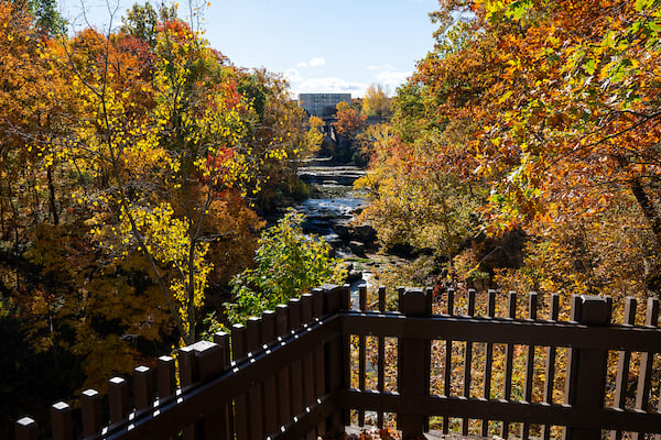 JTX_-4119.jpg JTX_-4119.jpg