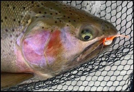 2-26-26-mike-4.jpg 2-26-26-mike-4.jpg