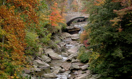 Thumbnail image for Chippewa Creek Gorge Scenic Overlook
