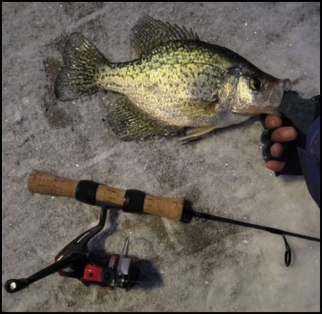 2-26-26-kylie-1.jpg 2-26-26-kylie-1.jpg