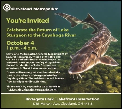 sturgeon-fest_1.jpg