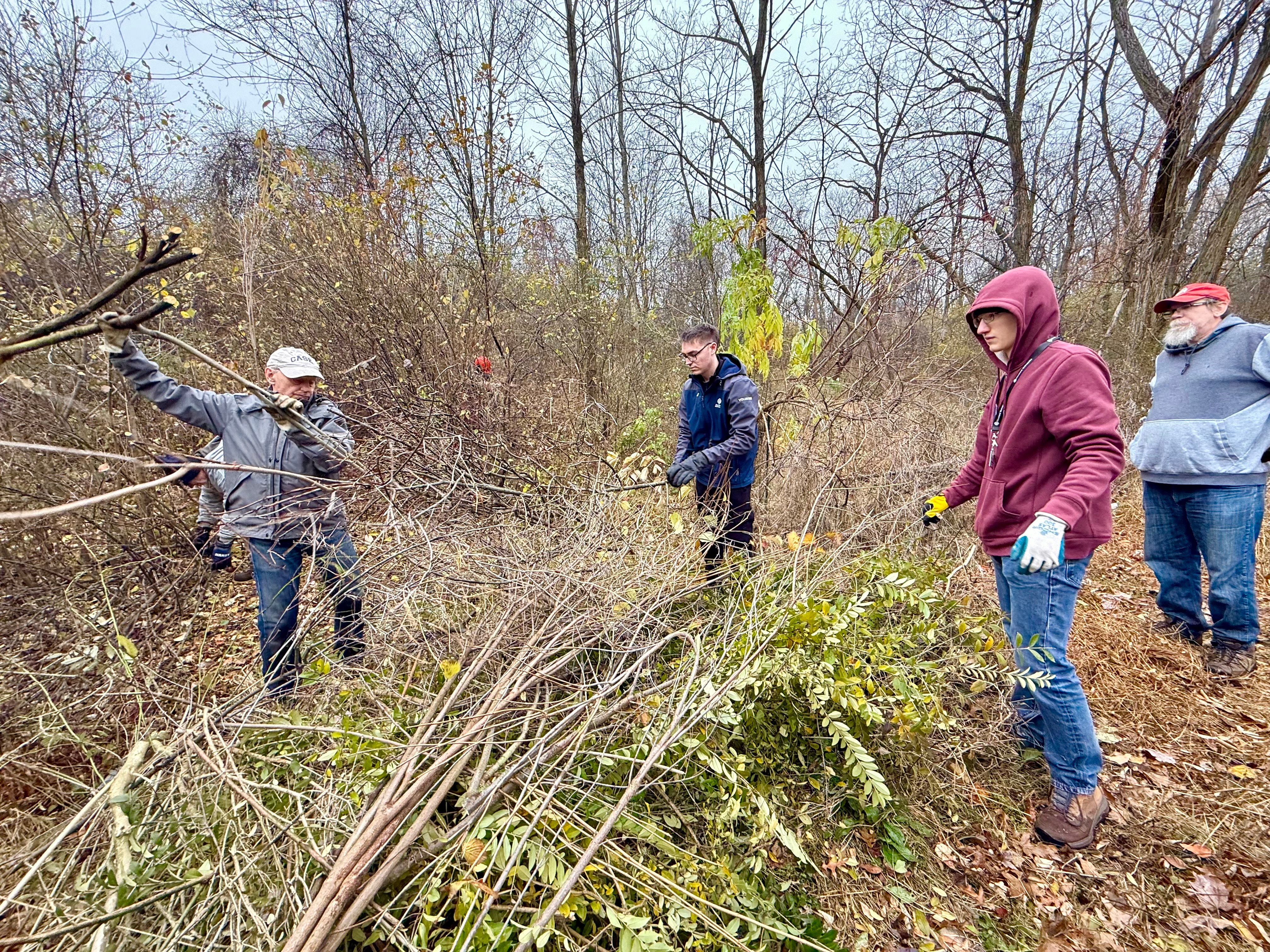 IMG_2906.jpeg IMG_2906.jpeg