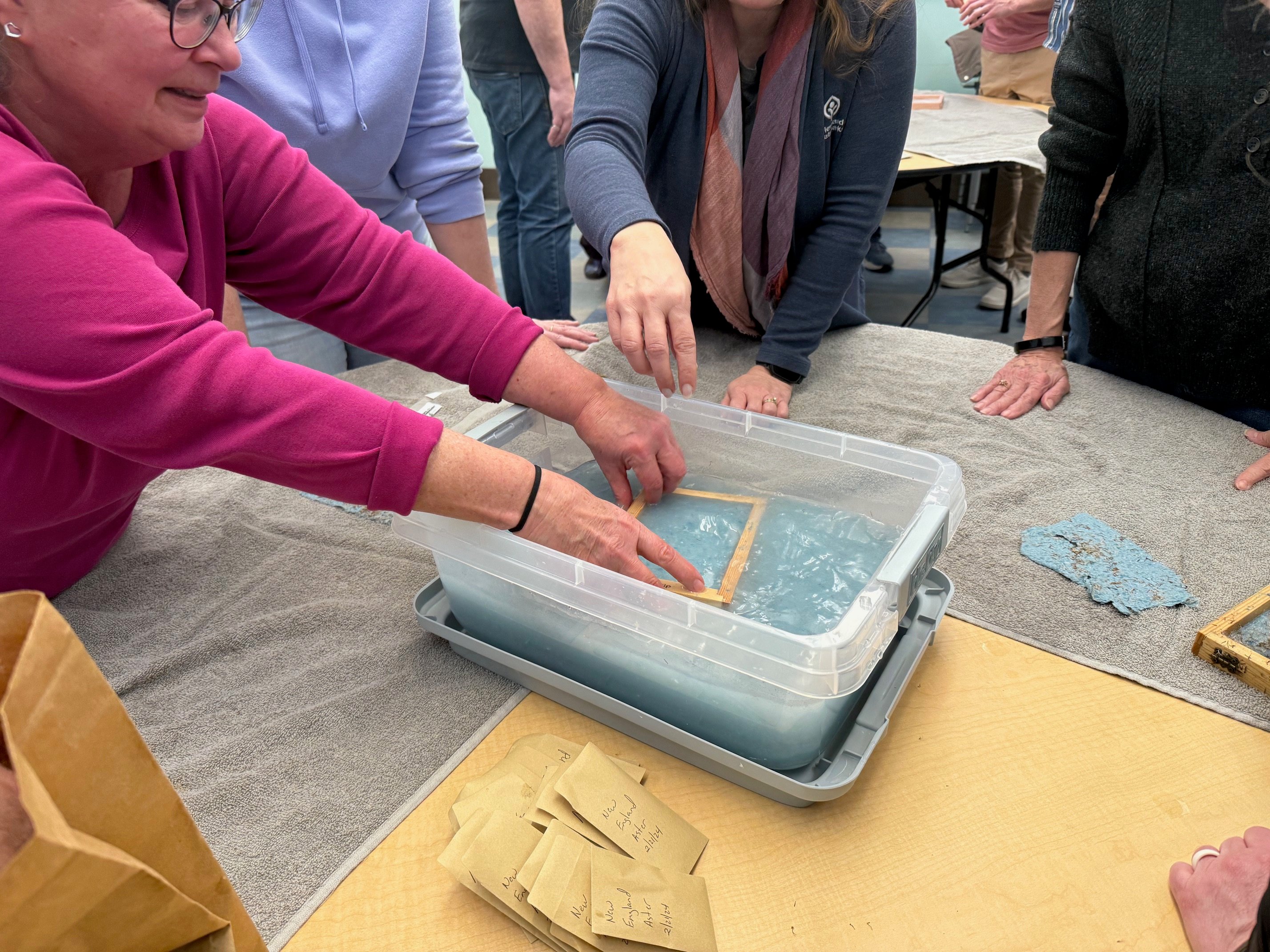 IMG_4125-1.jpg IMG_4125-1.jpg