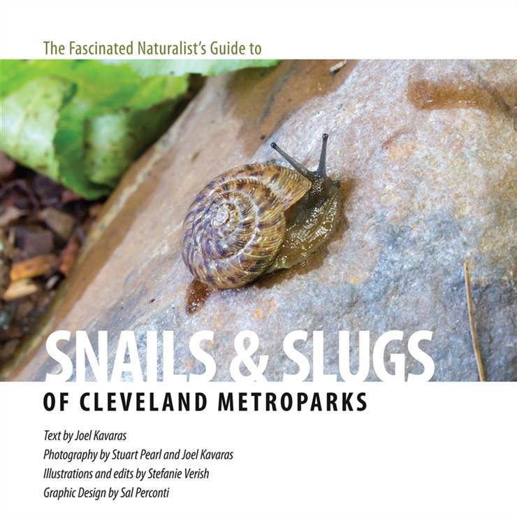 Slugs and Snails of the Cleveland Metroparks