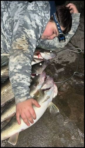 11-27-25-rollie-3.jpg 11-27-25-rollie-3.jpg