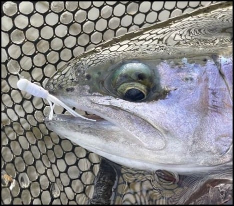 4-2-26-mike-4.jpg 4-2-26-mike-4.jpg