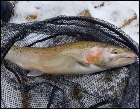 2-26-26-greg.jpg 2-26-26-greg.jpg