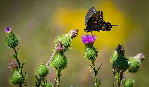 KLP_6150-3.jpg