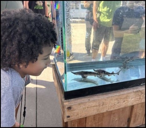 10-9-25-sturgeon-fest-11.jpg