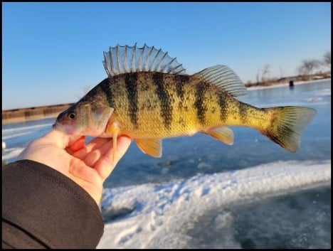 2-19-26-owen-1.jpg 2-19-26-owen-1.jpg