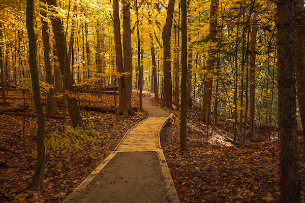 LONG0040.jpg LONG0040.jpg