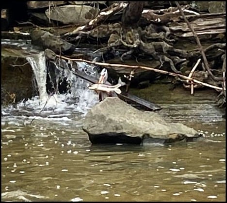 4-9-26-scott-3.jpg 4-9-26-scott-3.jpg