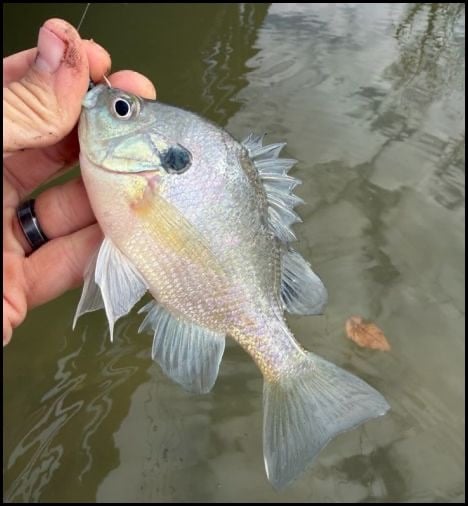 11-6-25-steve-3.jpg 11-6-25-steve-3.jpg