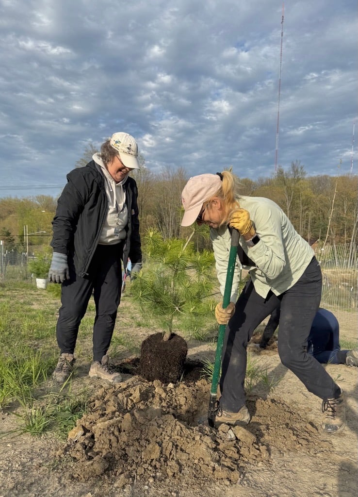 PLANTING.jpg