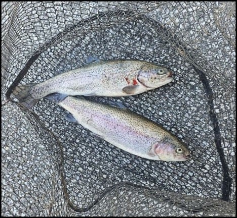 4-9-26-victor.jpg 4-9-26-victor.jpg