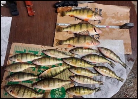 2-19-26-travis-3.jpg 2-19-26-travis-3.jpg